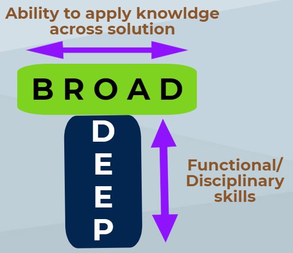 full stack developer